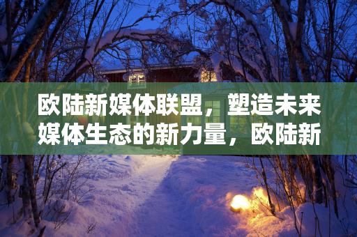 欧陆新媒体联盟，塑造未来媒体生态的新力量，欧陆新媒体联盟，塑造未来媒体生态的新力量缩略图