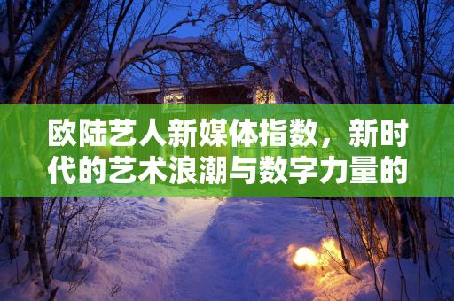 欧陆艺人新媒体指数，新时代的艺术浪潮与数字力量的交汇，欧陆艺人新媒体指数，艺术浪潮与数字力量的交汇新纪元缩略图